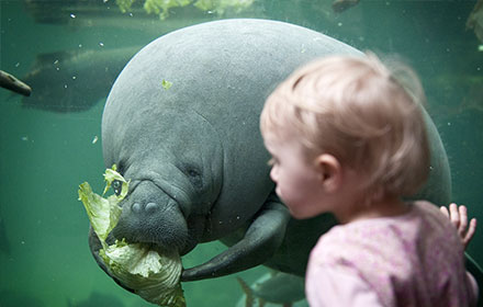 20% på Randers Regnskov